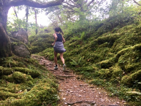 Green trails at Killarney National Park