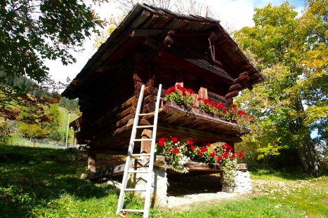 These adorable, old style Swiss cottages are everywhere